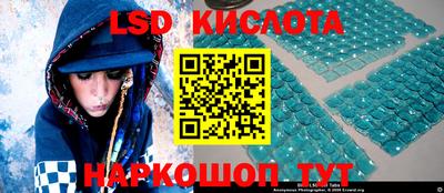 PSILOCYBIN Гай