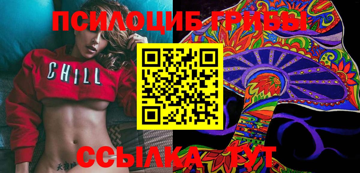 Ростов Великий  Псилоцибиновые грибы прущие грибы  Вход с VPN  Псилоцибиновые грибы GOLDEN TEACHER 
