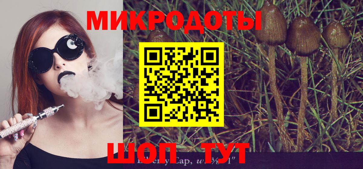 Галлюциногенные грибы мухоморы Ростов Великий